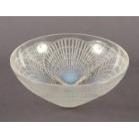 Schale "Coquille", Lalique