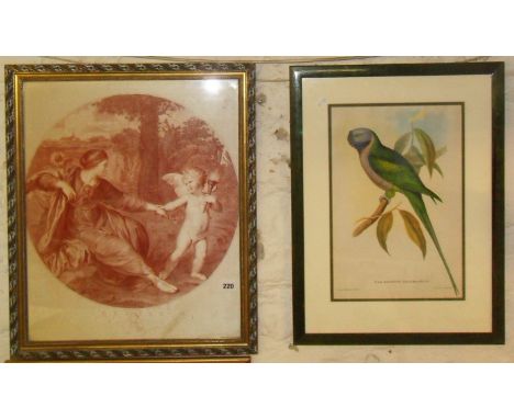 Sepia print on silk after John Boydell titled "Clytie" and a colour print of a Parakeet after Gould & Richter