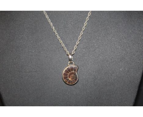 A silver mounted ammonite fossil pendant, with chain for same.
