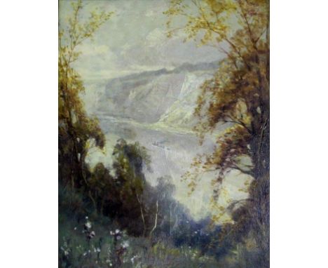 ROBERT FOWLER (1853-1926) A STEAMSHIP IN A RIVER GORGE Signed with initials, oil on panel 27.5 x 22cm. ++ Needs a light clean