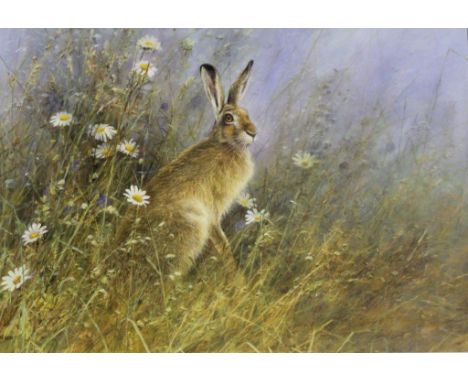 •NEIL COX (b.1955) SPRING MEADOW, BROWN HARE Signed, watercolour 44.5 x 65cm.; with two further works by Cox, `Bounding Hare`