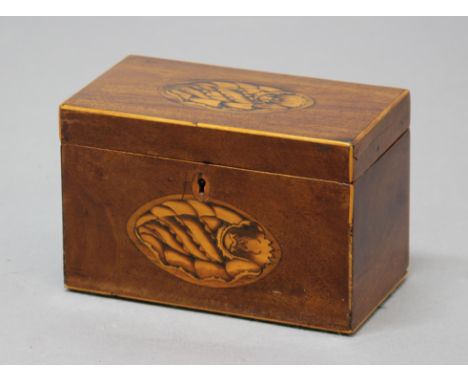 GEORGE III MAHOGANY AND INLAID TEA CADDY, of rectangular form, inlaid with shell motifs, twin canister interior, height 11cm,