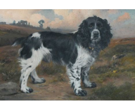 Hugh Percy Heard (1866–1940)Portrait of a spaniel standing in a landscapeSigned H Percy Heard (lower right)Oil on canvas31.9 