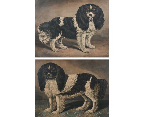 John Squire (19th Century)Portrait of Prince; Portrait of PunchA pair, both lithograph with hand colouring27.2 x 35.2cm; 10¾ 