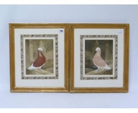J. W. LUDLOW (1840-1916).  Fancy pigeon in a pigeon loft.  Watercolour &amp; gouache over pencil.  23cm x 18cm.  Signed &amp;