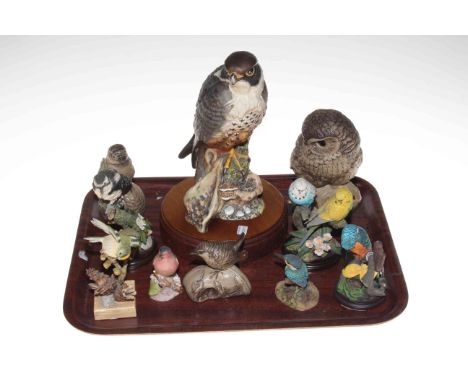 Royal Doulton limited edition Peregrine Falcon, Poole Owl, and eight bird sculptures (10).