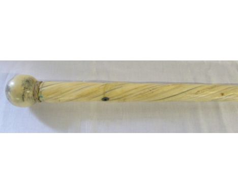 Narwhal tusk walking stick with ball pommel &amp; natural twisted stem length 90cm with CITES Article 10 certificate