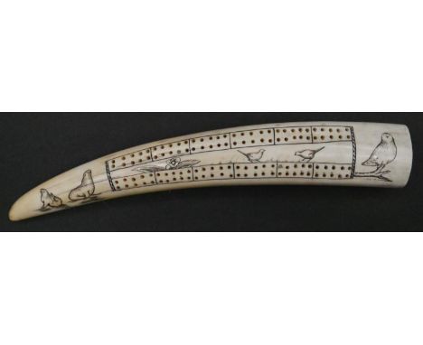 An Early 20th century scrimshaw walrus tusk cribbage board. One side etched with eskimos pulling canoes on skis and the other