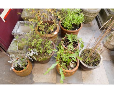 Assorted garden planters 