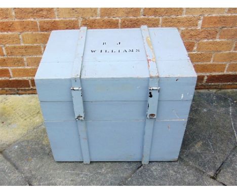 A PAINTED PINE SHIPPING TRUNK,  65cm wide 45cm deep 54cm high