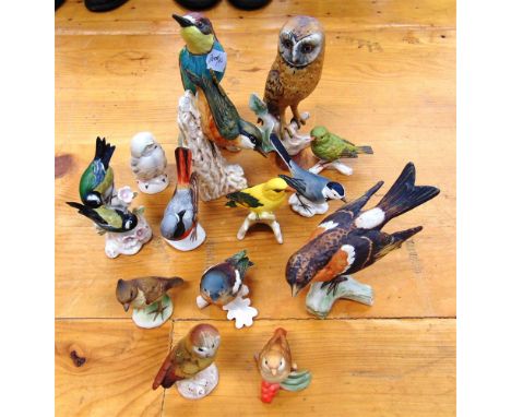 A COLLECTION OF FOURTEEN GOEBEL BIRD FIGURES,  all with matt finish, including Bee Eater, Barn Owl, Nuthatch, etc.