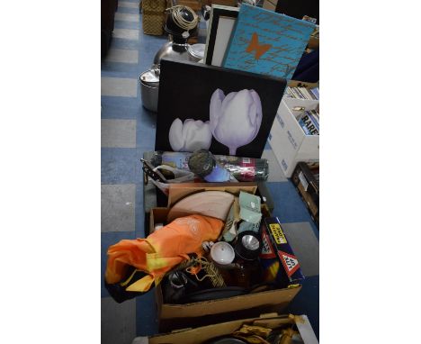 Two Boxes Containing Mounted Modern Prints, Garden Mesh, Kitchen Tools, Light Up Traffic Cone, Footpump 
