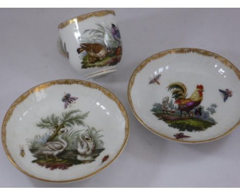 POSSIBLY MEISSEN, VERY GOOD QUALITY CONTINENTAL CABINET CUP AND 2 SAUCERS, ALL PAINTED WITH EXOTIC BIRD DECORATION AND HAVING