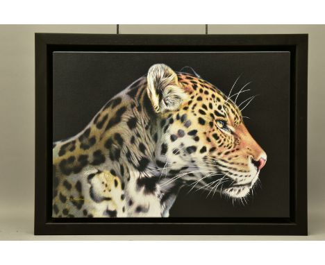 DARRYN EGGLETON (SOUTH AFRICA 1981) 'THE WILD SIDE I', a signed limited edition print on canvas depicting a leopard, 70/195 w