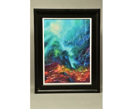 PHILIP GRAY (IRELAND 1959), 'COLOURS OF THE DEEP', a signed limited edition print depicting an underwater seascape, 23/195 wi