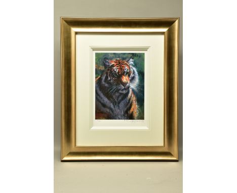 ROLF HARRIS (AUSTRALIAN 1930) 'TIGER IN THE SUN', a limited edition print 85/195, signed to bottom margin, with certificate, 