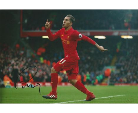 Roberto Firmino Signed Liverpool football 8x12 Photo . Good condition.  All signed items come with our certificate of authent