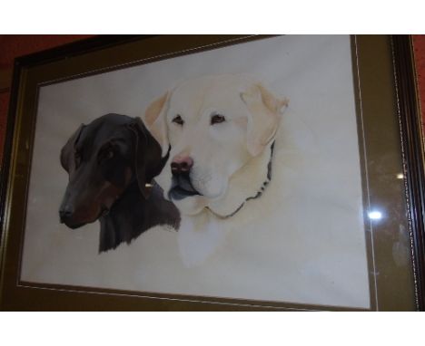 A Watercolour Portrait of a Labrador and Doberman; signed T Brook 1990, 31 x 48 cm.