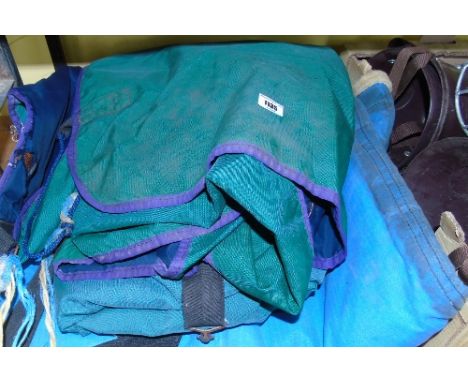 An All Weather Horse Coat In Green & Purple And A Blue Pony Coat.
