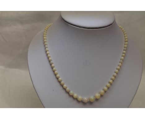 A string of graduated opal pearls having glass spacers and yellow metal set box clasp, approx 18'
Condition Report&nbsp; In g