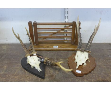 Two sets of mounted roebuck antlers, a horn bottle opener and a miniature oak gate