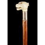 A 19TH CENTURY MARINE / IVORY HANDLED MALACCA WALKING CANE, the grip worked as a dog bearing its