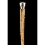 A 19TH CENTURY RAY TAIL WALKING STICK, with white metal (presumed silver) knob handle and white