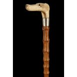 A 19TH CENTURY STAG HORN CARVED HANDLED CANE, in the form of a dogs head, with bamboo shaft, 86cm.