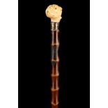 A CARVED ANTIQUE IVORY HANDLED CANE, the grip modelled as a pug dog, with silver collar on slender