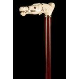 A 19TH CENTURY IVORY HANDLED WOODEN WALKING CANE, the grip finely worked as a racehorse head, with