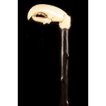 A GOOD IVORY LOBSTER CLAW HANDLED CANE, the grip carved with an articulated claw, slender white