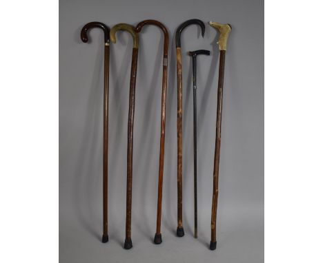 A Collection of Five Vintage Walking Sticks 