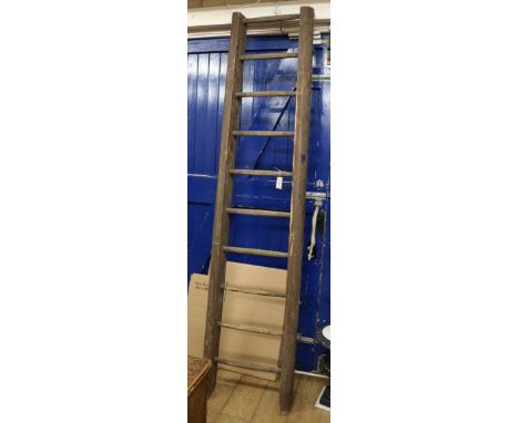 A ladder H.245cm