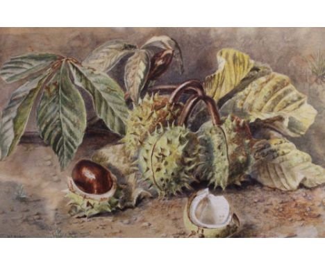 W Hunt, "Horse Chestnuts" watercolour painting, signed, 16cm xx 26cm, gilt framed