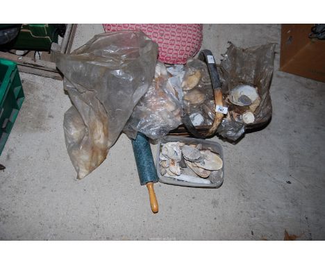 A Trug of seashells, marble rolling pin, etc.,