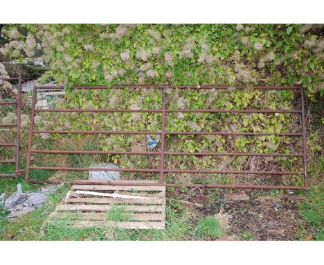 A 10' galvanised field gate tubular.