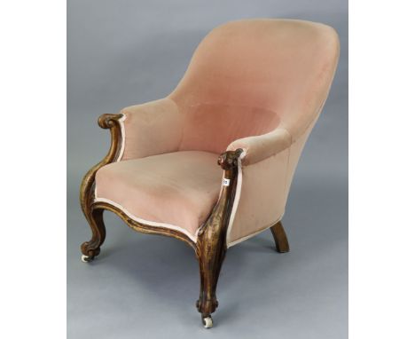 A Victorian tub-shaped easy chair with a sprung seat upholstered pink velour, &amp; on short carved cabriole legs with cerami