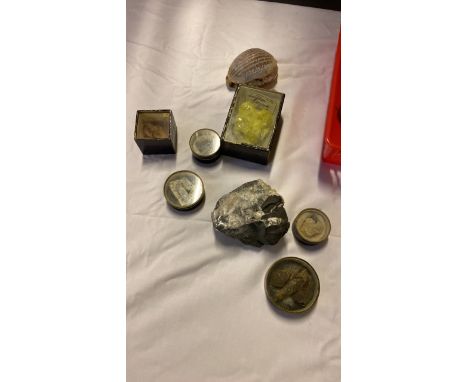  Sale Item:    BOX STONES ROCK CRYSTAL SHELL ETC  Vat Status:   No Vat   Buyers Premium:  This lot is subject to a Buyers Pre
