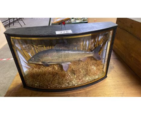  Sale Item:    CASED GRAYLING D LARKIN OCT 1940 SIZE 50 X 31 X 13 CMS  Vat Status:   No Vat   Buyers Premium:  This lot is su