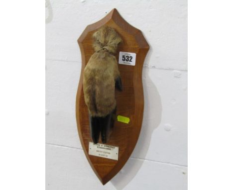 HUNTING TROPHY, shield back stag's hoof "Devon &amp; Somerset Stag Hounds - Anstey Station"