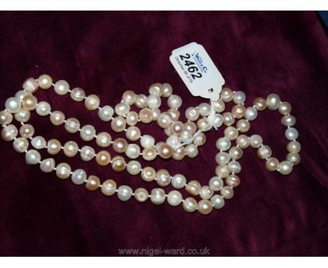 A long natural pearl necklace.