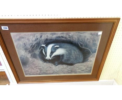 Ian Nathan: a framed limited edition coloured print entitled Shy Badger - signed in pencil and numbered 246/250
