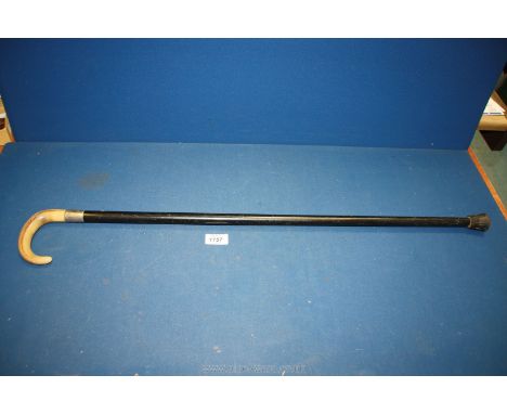 A walking stick having horn handle, silver band London 1919.