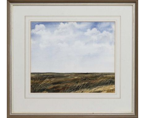 * JIM NICHOLSON (BRITISH 1924 - 1996), CAITHNESS LANDSCAPE watercolour on paper, signed, titled versomounted, framed and unde