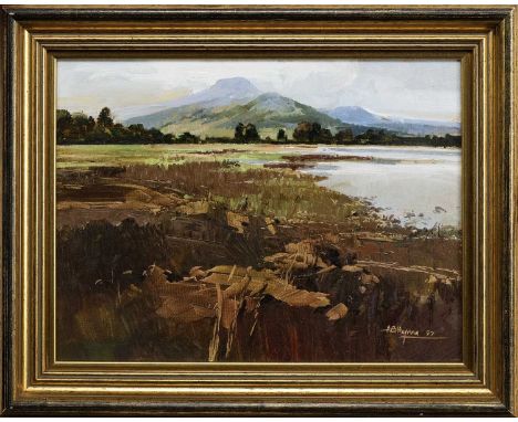 * ALAN B HAYMAN (SCOTTISH b. 1947), A HIGHLAND LOCH   oil on board, signed and dated '97 framed and under glass  image size 2