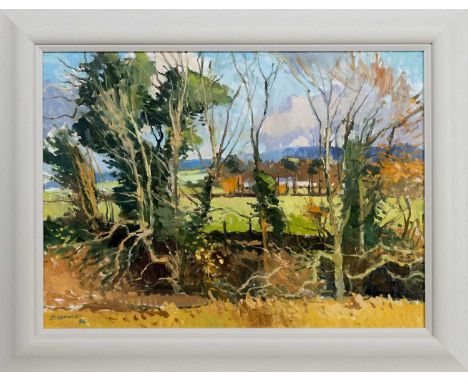 DOUGLAS LENNOX, PARKHOUSE FARM oil on board, signed and dated '24, titled versoframedimage size 57cm x 77cm, overall size 72c