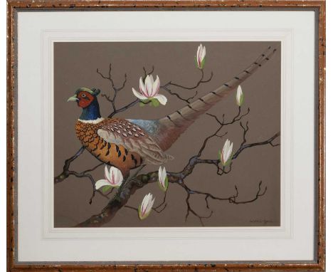 * RALSTON GUDGEON RSW (SCOTTISH 1910 - 1984), PHEASANT watercolour on paper, signedmounted, framed and under glassimage size 