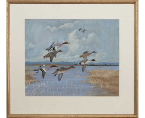 * RALSTON GUDGEON RSW (SCOTTISH 1910 - 1984), WIGEONS IN FLIGHT watercolour on paper, signedmounted, framed and under glassim