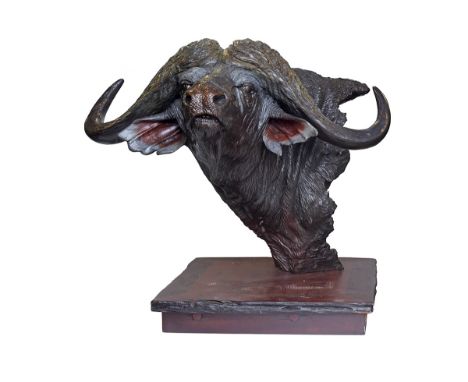 BERNIE VAN DER VYVER A FINE ORIGINAL BRONZE SCULPTURE OF A 'DAGGER BOY' CAPE BUFFALO, No .1 of 25, a head and shoulder mount 