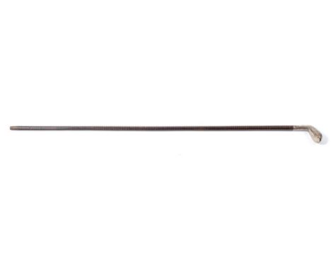 An early 20th century silver mounted golf club headed walking stick:, assays rubbed, the putter shaped head on a malacca shaf